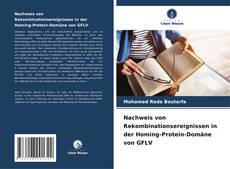 Capa do livro de Nachweis von Rekombinationsereignissen in der Homing-Protein-Domäne von GFLV 