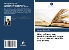 Bookcover of Überprüfung von Gerichtsentscheidungen in Strafsachen: Theorie und Praxis