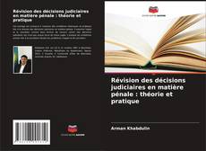 Buchcover von Révision des décisions judiciaires en matière pénale : théorie et pratique