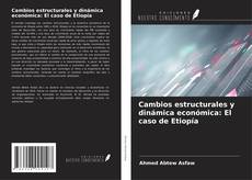 Copertina di Cambios estructurales y dinámica económica: El caso de Etiopía