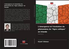 L'émergence et l'évolution du phénomène du "tigre celtique" en Irlande的封面