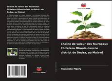 Chaîne de valeur des fourneaux Chitetezo Mbaula dans le district de Dedza, au Malawi的封面