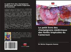 Buchcover von Le petit livre des champignons médicinaux des forêts tropicales du Cameroun