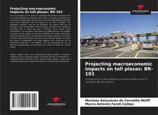 Buchcover von Projecting macroeconomic impacts on toll plazas: BR-101