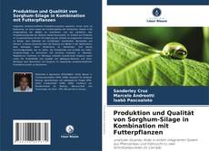 Buchcover von Produktion und Qualität von Sorghum-Silage in Kombination mit Futterpflanzen