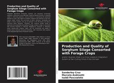 Couverture de Production and Quality of Sorghum Silage Consorted with Forage Crops