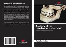 Buchcover von Anatomy of the manducatory apparatus