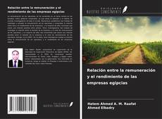 Portada del libro de Relación entre la remuneración y el rendimiento de las empresas egipcias