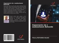 Borítókép a  Zapoznanie się z wodzostwem Bahunde - hoz