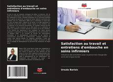 Bookcover of Satisfaction au travail et entretiens d'embauche en soins infirmiers
