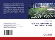 Capa do livro de REAL TIME MONITORING OF SOIL STABILITY WITH AI 