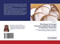 Copertina di The Power of Fungal Enzymes: Exploring Laccase in Pleurotus ostreatus