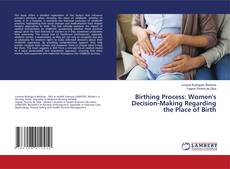 Bookcover of Birthing Process: Women's Decision-Making Regarding the Place of Birth