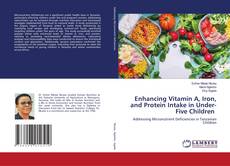 Enhancing Vitamin A, Iron, and Protein Intake in Under-Five Children kitap kapağı