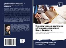 Bookcover of Экологическая проблема в Генеральном плане Белу-Оризонти
