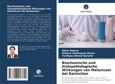 Buchcover von Biochemische und histopathologische Wirkungen von Meloxicam bei Kaninchen