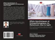 Couverture de Effets biochimiques et histopathologiques du Meloxicam chez le lapin