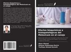 Portada del libro de Efectos bioquímicos e histopatológicos del Meloxicam en el conejo