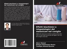 Effetti biochimici e istopatologici del meloxicam nel coniglio的封面