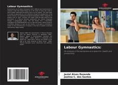 Bookcover of Labour Gymnastics: