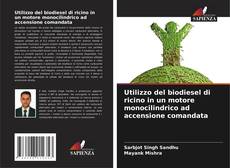 Couverture de Utilizzo del biodiesel di ricino in un motore monocilindrico ad accensione comandata