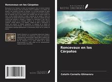 Portada del libro de Roncevaux en los Cárpatos