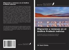 Portada del libro de Migración y remesas en el Andhra Pradesh indiviso