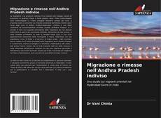 Couverture de Migrazione e rimesse nell'Andhra Pradesh indiviso