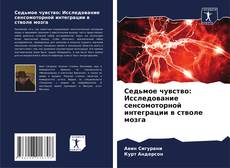 Portada del libro de Седьмое чувство: Исследование сенсомоторной интеграции в стволе мозга