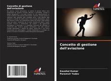 Bookcover of Concetto di gestione dell'aviazione