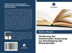 Buchcover von Förderung der kommunalen Anpassung zur Bewältigung des Klimawandels