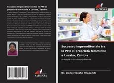 Bookcover of Successo imprenditoriale tra le PMI di proprietà femminile a Lusaka, Zambia