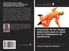 Portada del libro de Evaluación de los riesgos potenciales para la salud de los trabajadores de gasolineras