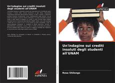 Un'indagine sui crediti insoluti degli studenti all'UNAM kitap kapağı