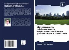 Portada del libro de Детерминанты эффективности сельского хозяйства и урбанизации в Пакистане
