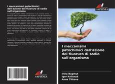 Bookcover of I meccanismi patochimici dell'azione del fluoruro di sodio sull'organismo