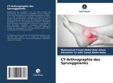 Portada del libro de CT-Arthrographie des Sprunggelenks