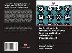 Copertina di Application de la prévention des risques dans un institut de recherche et d'enseignement