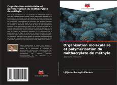 Copertina di Organisation moléculaire et polymérisation du méthacrylate de méthyle