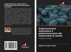 Buchcover von Organizzazione molecolare e polimerizzazione del metacrilato di metile