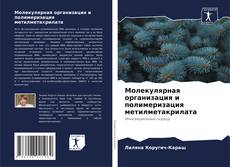 Молекулярная организация и полимеризация метилметакрилата的封面