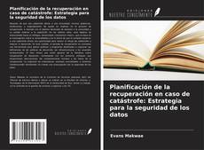 Portada del libro de Planificación de la recuperación en caso de catástrofe: Estrategia para la seguridad de los datos