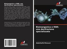 Bioinorganica e RNR: una decifrazione specializzata kitap kapağı