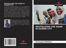Borítókép a  REVITALIZING THE GIDAR IN GUIDER CITY - hoz