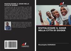 RIVITALIZZARE IL GIDAR NELLA CITTÀ DI GUIDER kitap kapağı