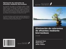 Portada del libro de Eliminación de colorantes de efluentes mediante biorresiduos