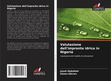 Buchcover von Valutazione dell'impronta idrica in Nigeria