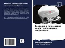 Введение в применение цеолит-полимерных материалов的封面