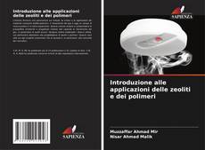 Buchcover von Introduzione alle applicazioni delle zeoliti e dei polimeri