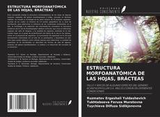 Portada del libro de ESTRUCTURA MORFOANATÓMICA DE LAS HOJAS, BRÁCTEAS